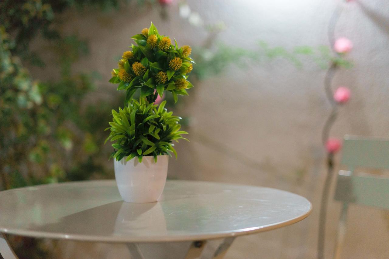 رانكاغوا Hostal La Terraza المظهر الخارجي الصورة